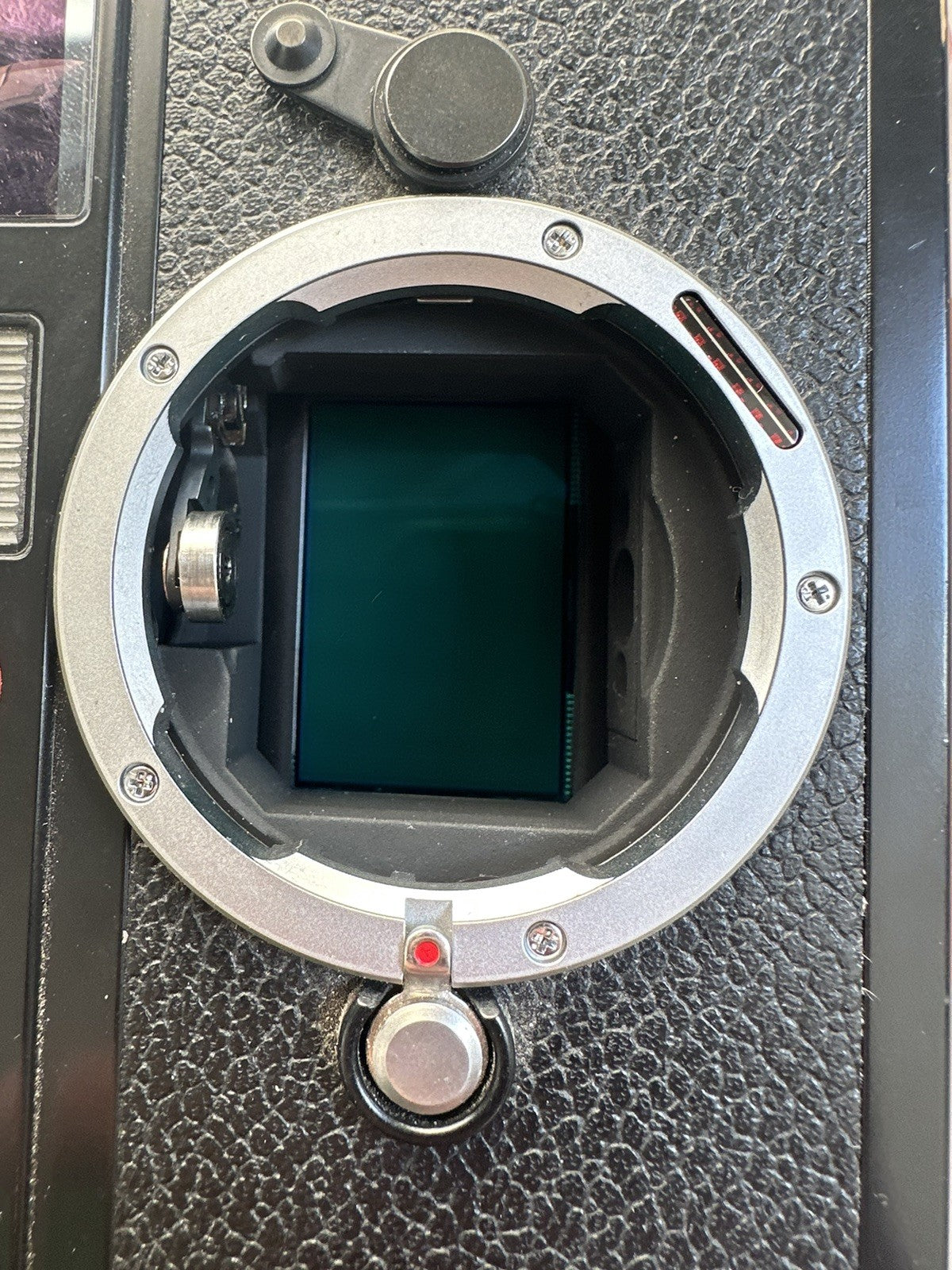 Leica M9