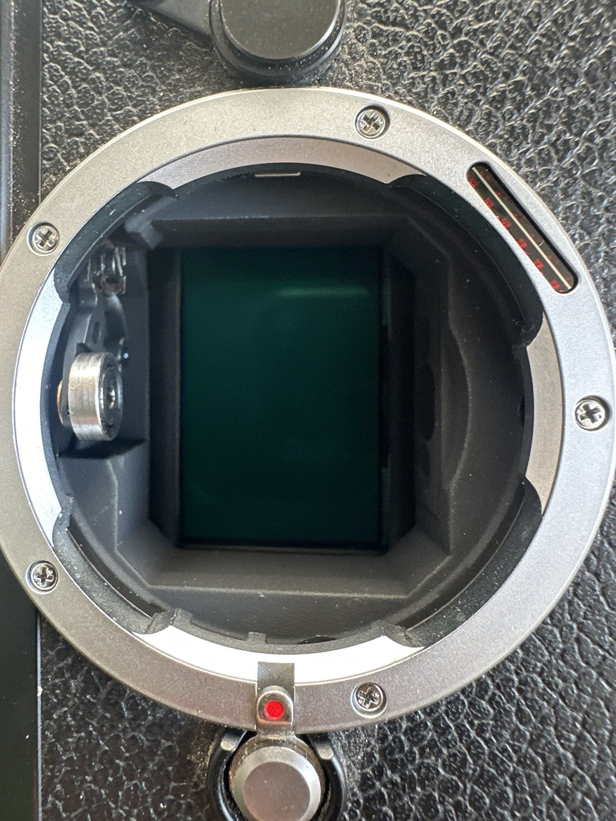 Leica M9