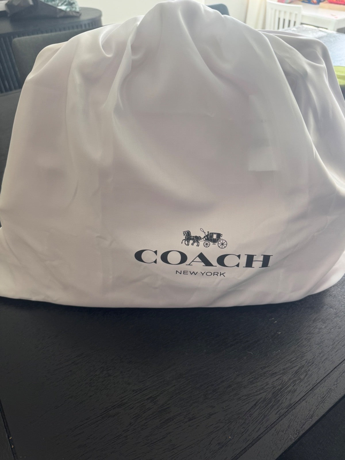COACH Big Large Kisslock Rose Kiss Lock Pink Frame Bag Nwt